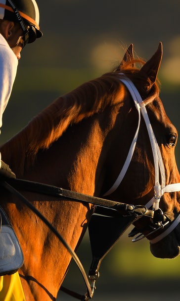 Favorites, top contenders for Day 2 of Breeders' Cup